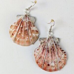 Silver Wire-Wrapped Shell Earrings